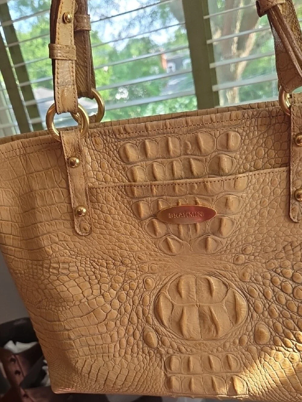 Brahmin medium asher